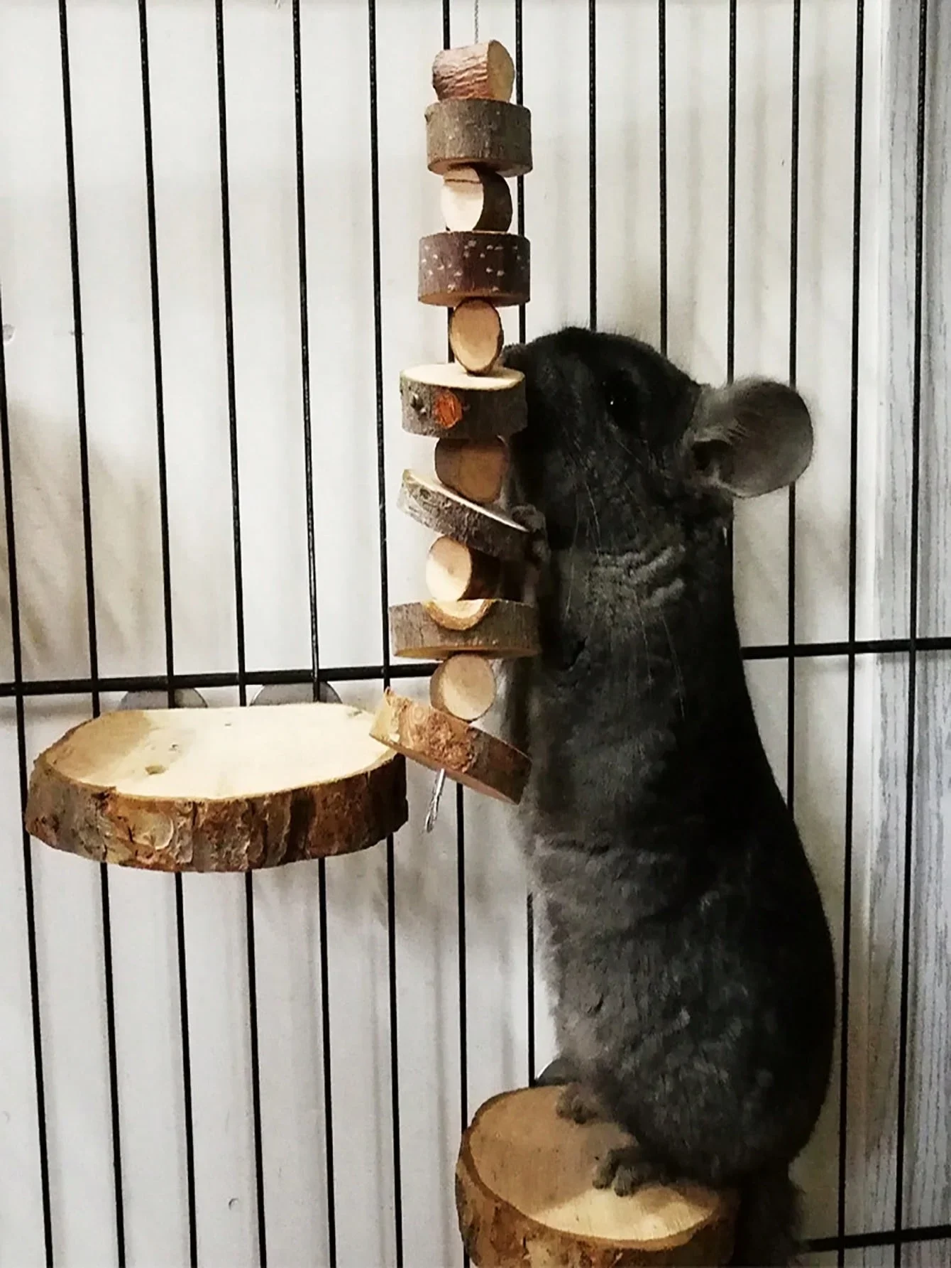 Hamster Rabbit Chew Toy Natura - огляд і ціна Woodworking Rabbet