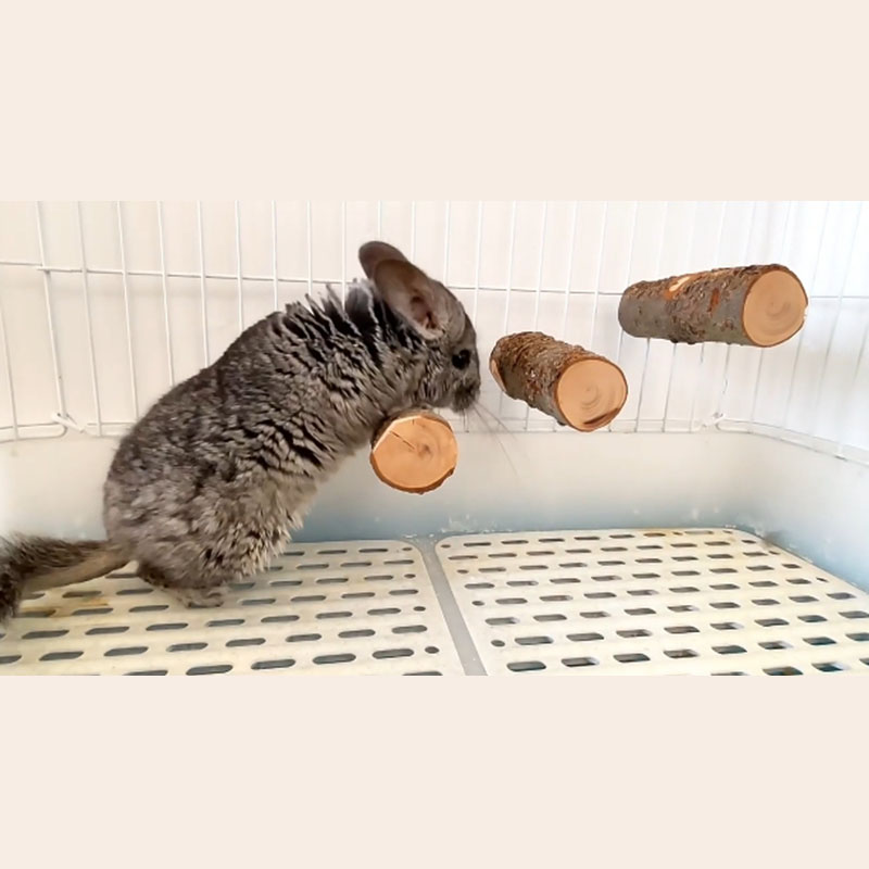 Pet Hamster Toy Natural Apple  - огляд і ціна Woodworking Rabbet